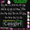 BGART-COWBOY Rhinestone TTF Font inspired by Bleeding Cowboy Font. Instant digital download with SVG, EPS, DXF, PLT for Cricut, Silhouette machines. Bling alphabet letters.