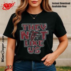 they not like us atlanta falcons logo rhinestone svg download