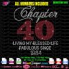 chapter 40 living my blessed life fabulous since 1984 rhinestone svg, chapter birthday bundle bling rhinestone template svg cricut download